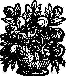 027/027040120000680_0.png