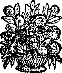 027/027040120000930_0.png