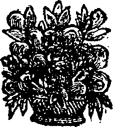 027/027040120002480_0.png