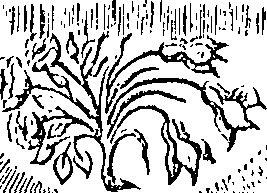 027/027140030000900_0.png