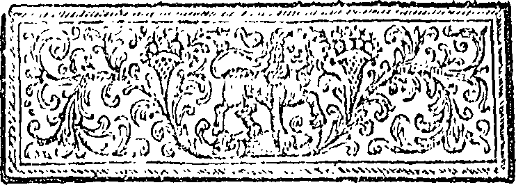 027/027140030002490_1.png