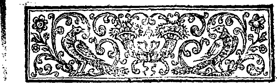 027/027300010000240_1.png