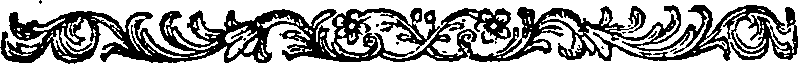 027/027310040201230_0.png