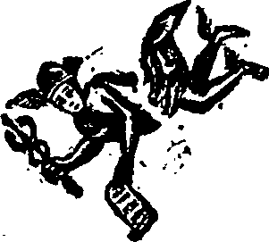 027/027310040202490_0.png