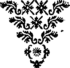 027/027310040202590_0.png