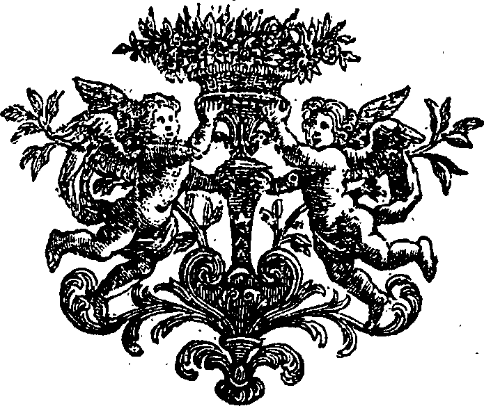 027/027360080202640_0.png