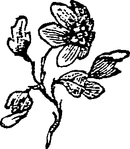 027/027370050000030_0.png