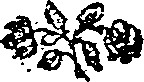 027/027370050001720_0.png