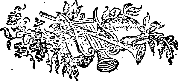 027/027370050001810_0.png
