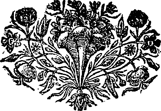 027/027380010001570_0.png