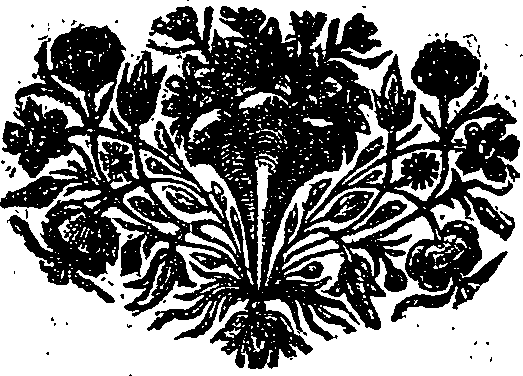 027/027380010001810_0.png