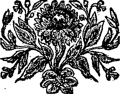027/027380010002340_0.png