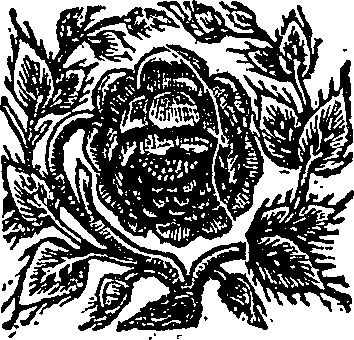 027/027380010002460_0.png