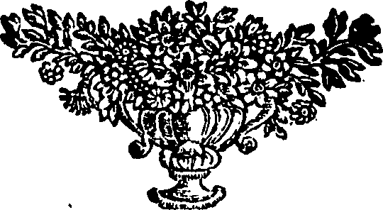 027/027400010100410_0.png