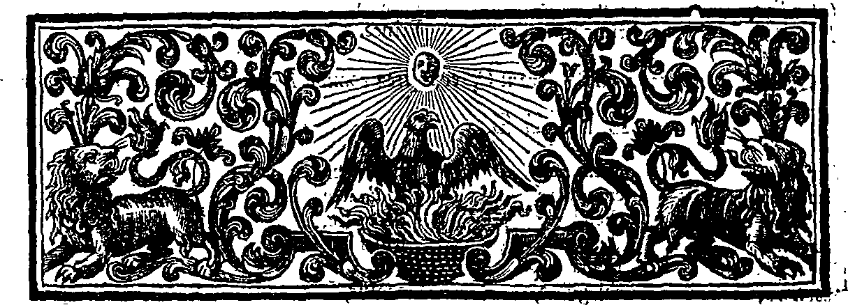 027/027410020000120_2.png