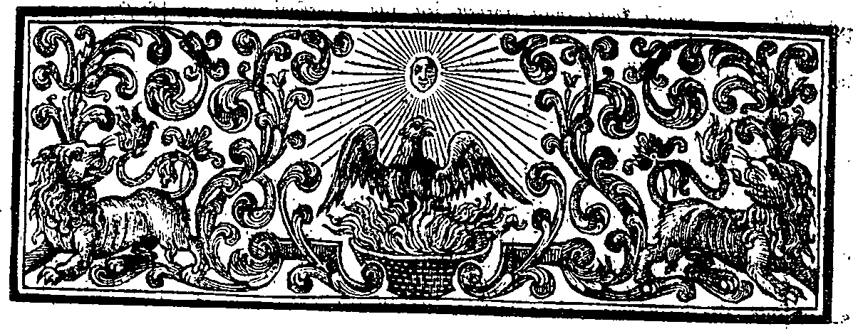 027/027410020001370_1.png