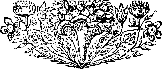 027/027420020000010_0.png