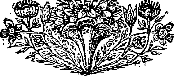 027/027420020000770_0.png