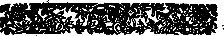 027/027470050004040_0.png