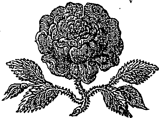027/027520010000030_0.png