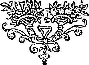 027/027530070000570_0.png