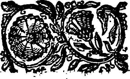 027/027670140000390_0.png
