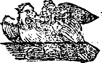 027/027670140001320_0.png