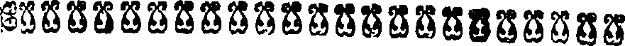 027/027700010001010_1.png