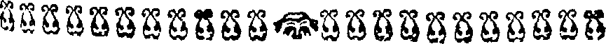027/027700010003690_0.png