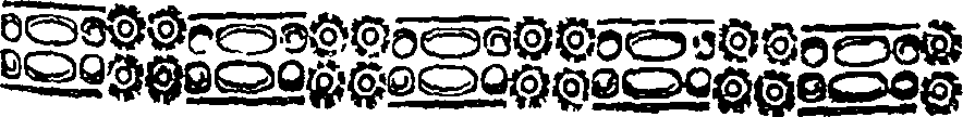 027/027700010003780_0.png