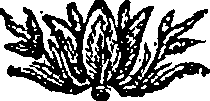 027/027700080000460_0.png