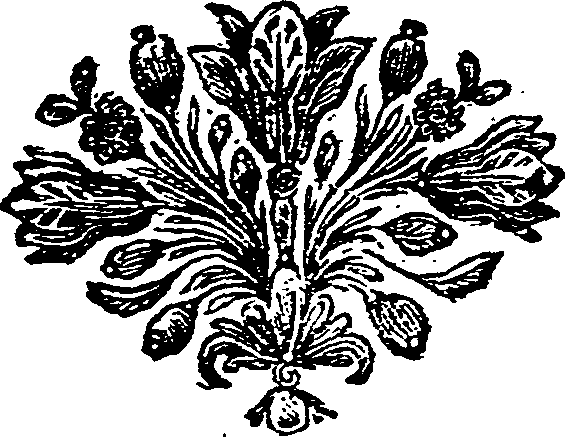 027/027740010000580_0.png