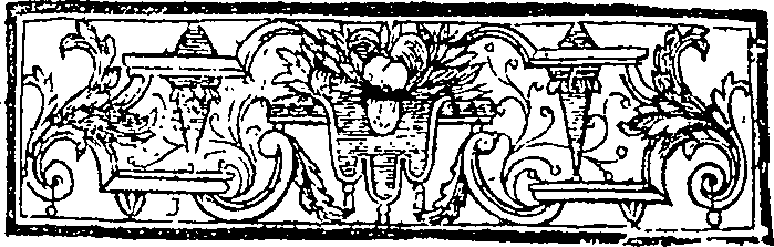 027/027970010501920_2.png
