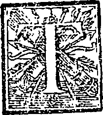 027/027970010600080_0.png