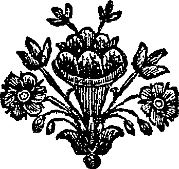 028/028160030000620_0.png