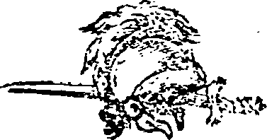 028/028210040100720_0.png