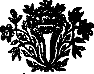 028/028220080000810_0.png