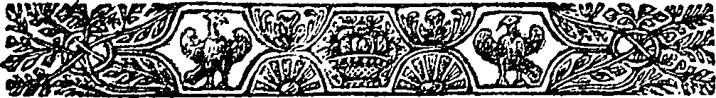 028/028220080001360_0.png