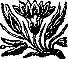 028/028440100000470_0.png