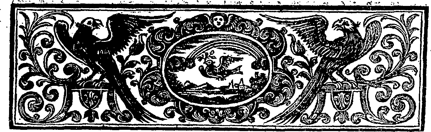 028/028660010205520_1.png