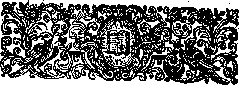028/028840110000770_1.png