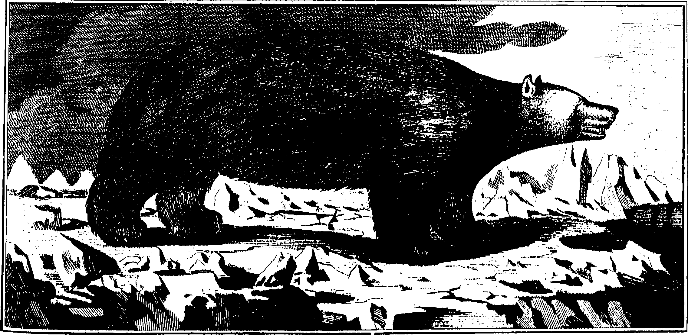 028/028900010004920_0.png