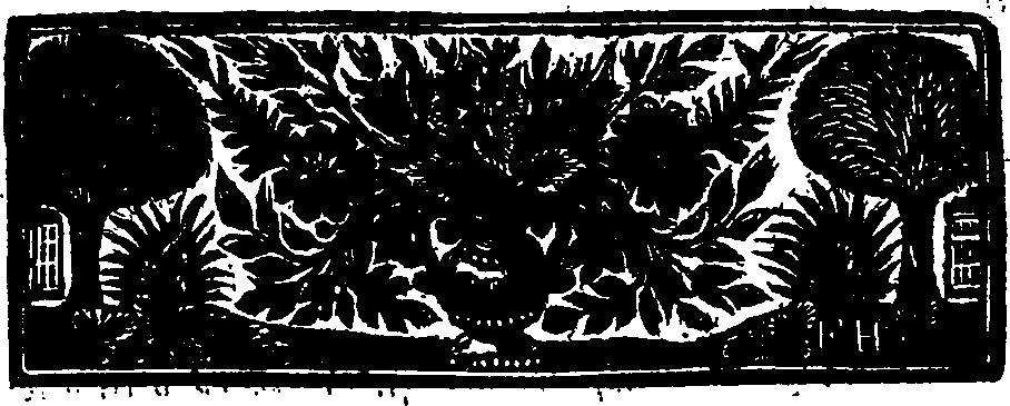 029/029020040000020_2.png