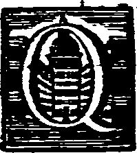 029/029020060000030_1.png