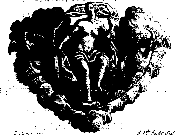 029/029120050002910_0.png