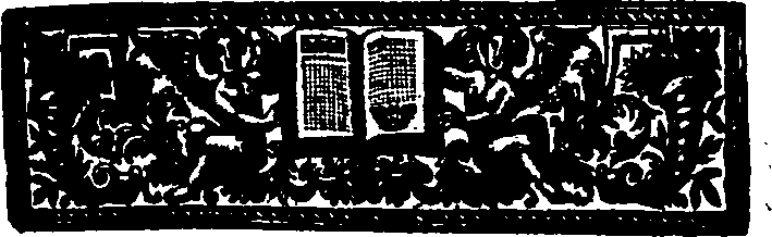 029/029120050002920_1.png