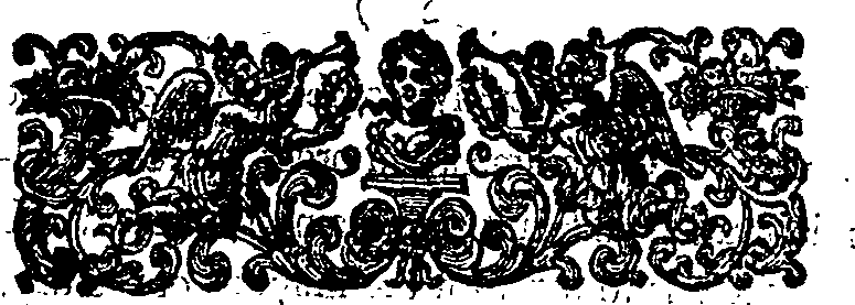 029/029240220000040_0.png