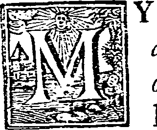 029/029250210000200_0.png
