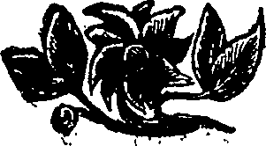 029/029270130003270_0.png
