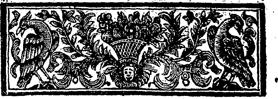 029/029290230000020_1.png
